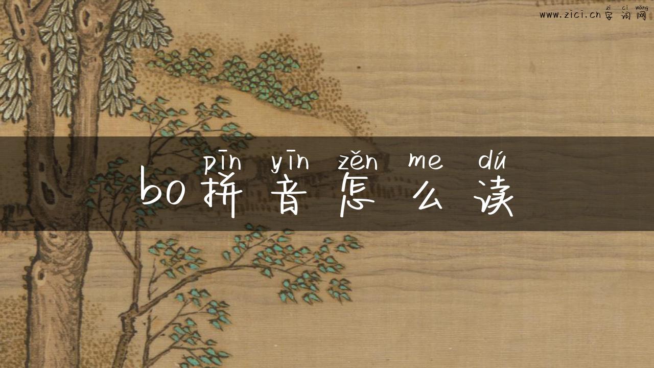 bo拼音怎么读