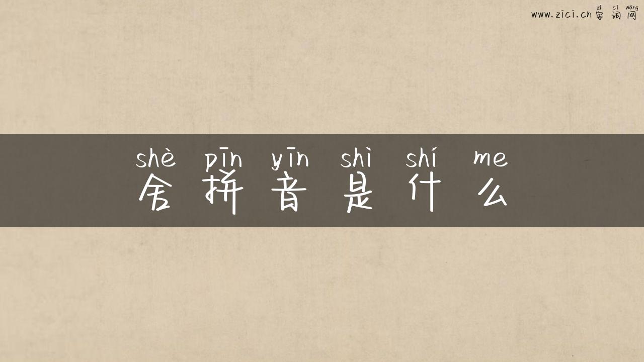 舍拼音是什么