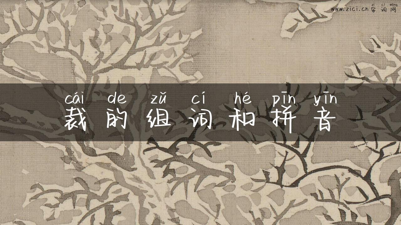 裁的组词和拼音