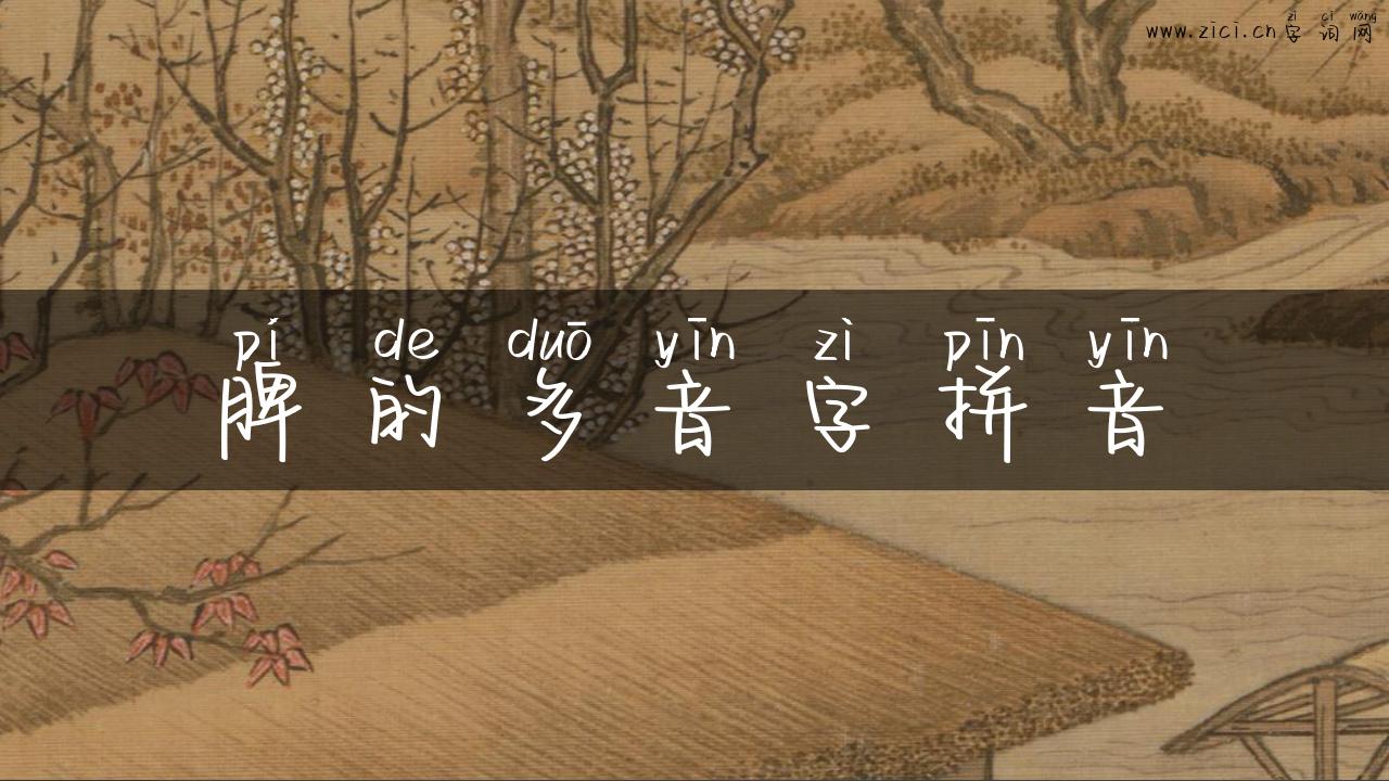 脾的多音字拼音