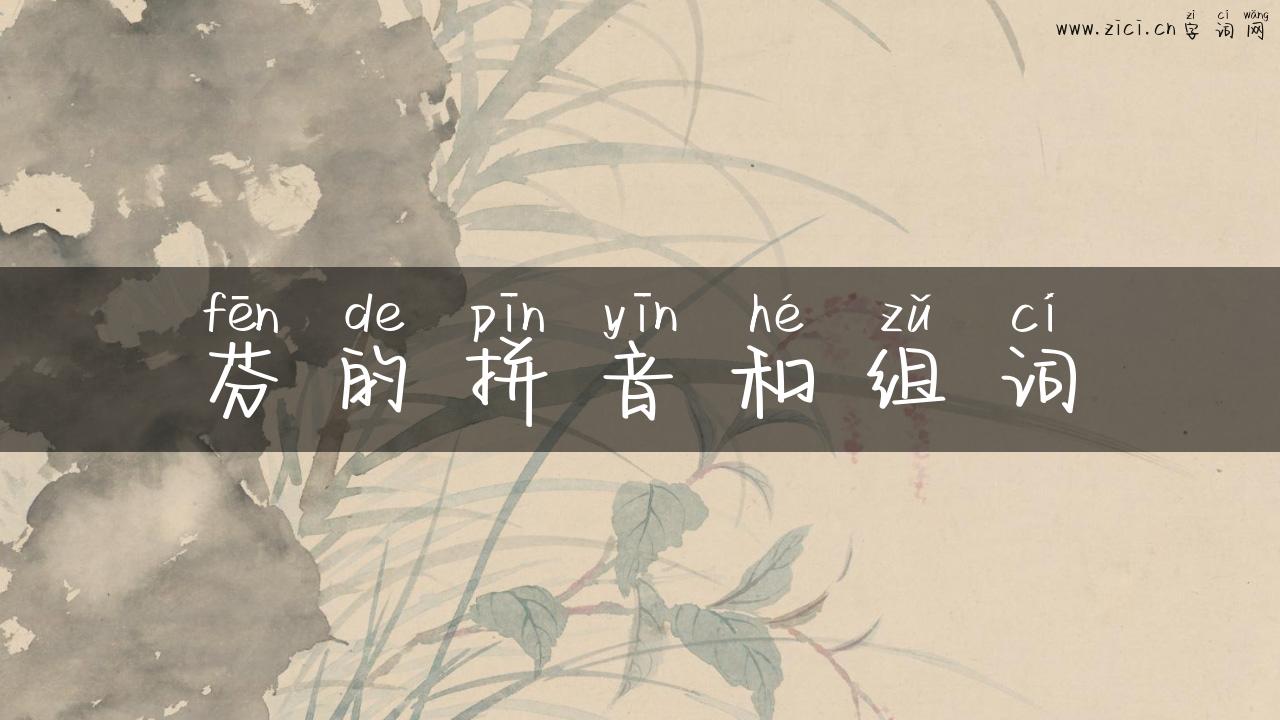 芬的拼音和组词