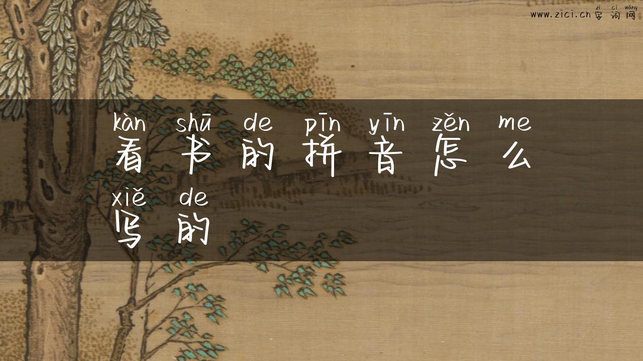 看书的拼音怎么写的