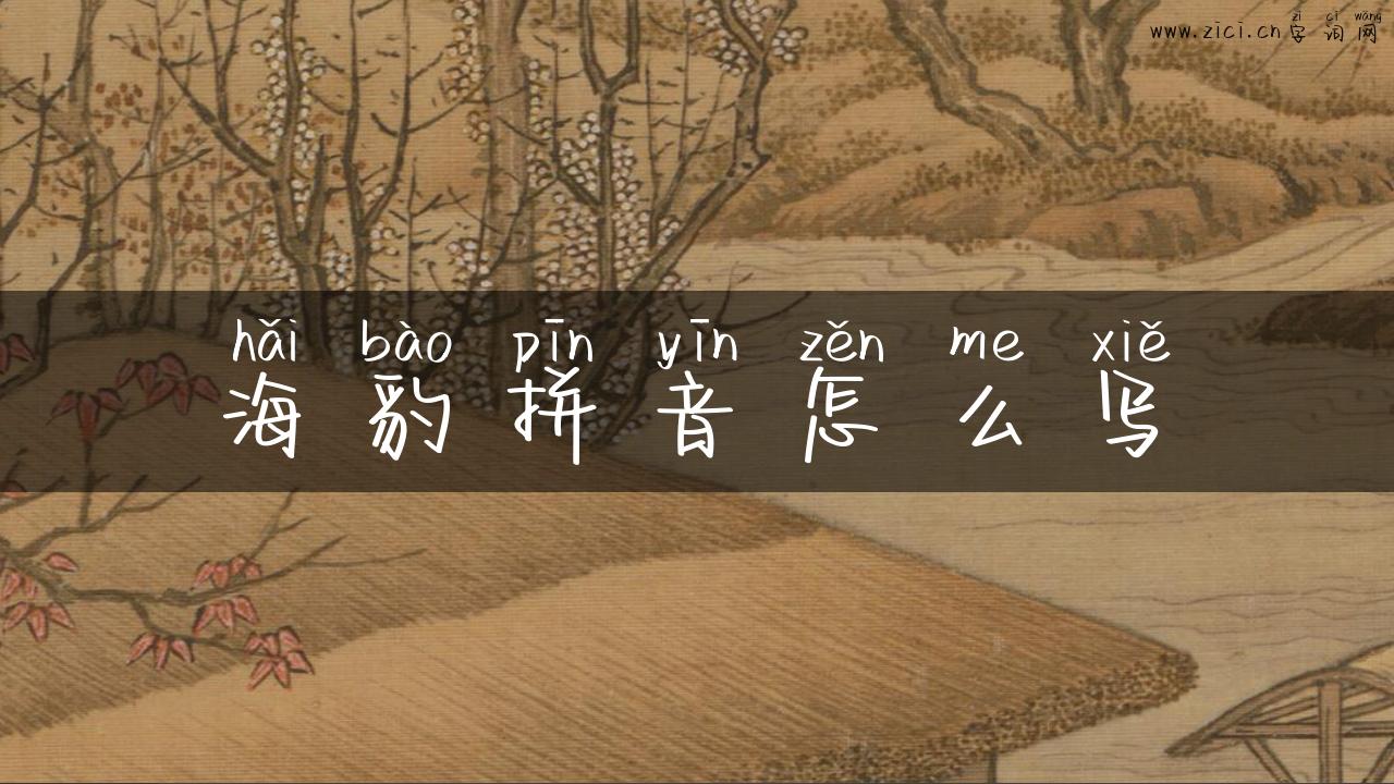 海豹拼音怎么写