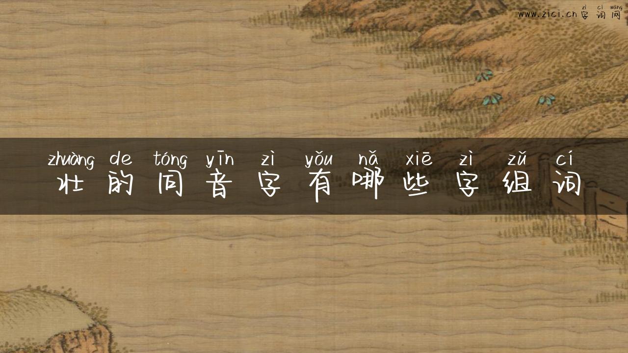 壮的同音字有哪些字组词