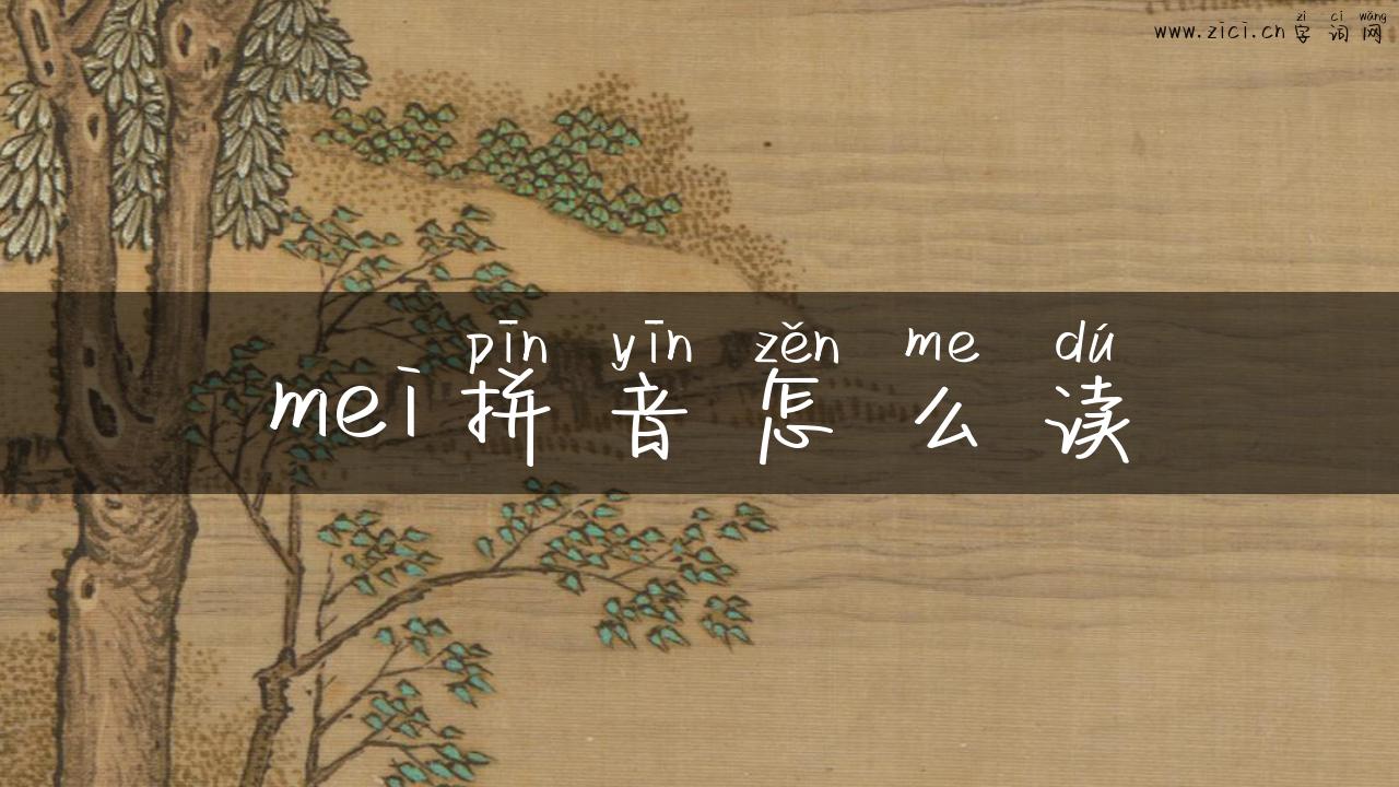 mei拼音怎么读