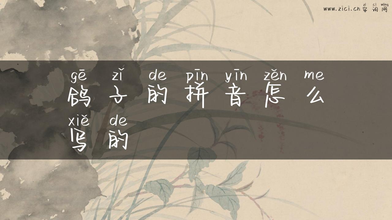 鸽子的拼音怎么写的