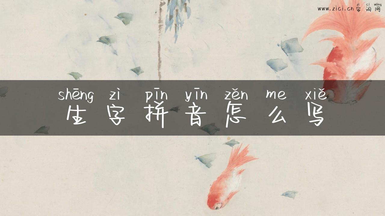 生字拼音怎么写