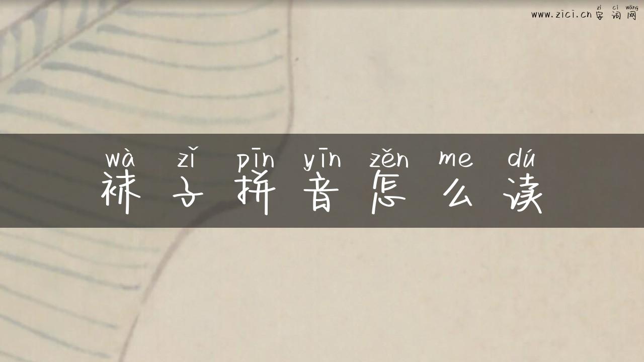 袜子拼音怎么读