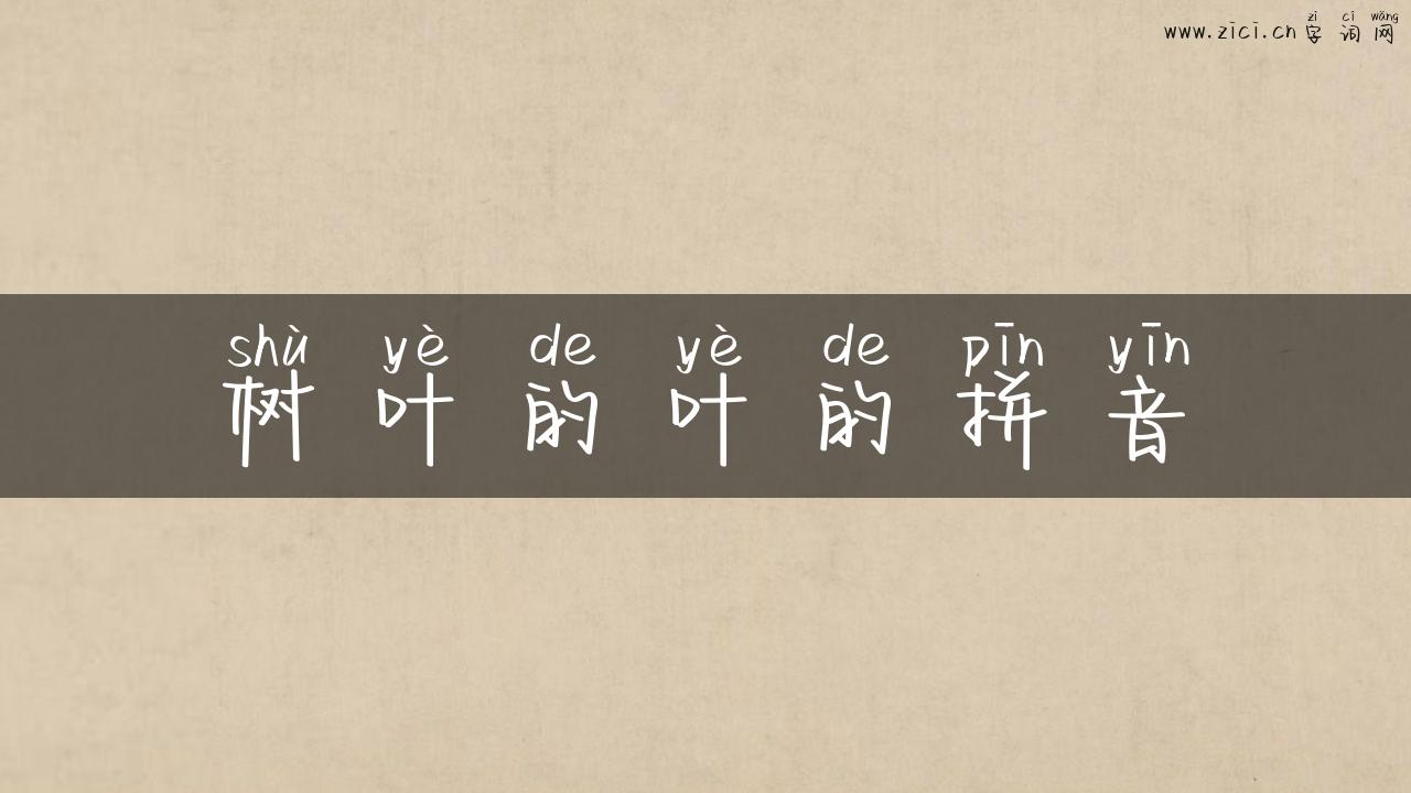 树叶的叶的拼音