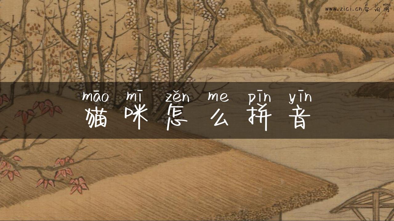 猫咪怎么拼音