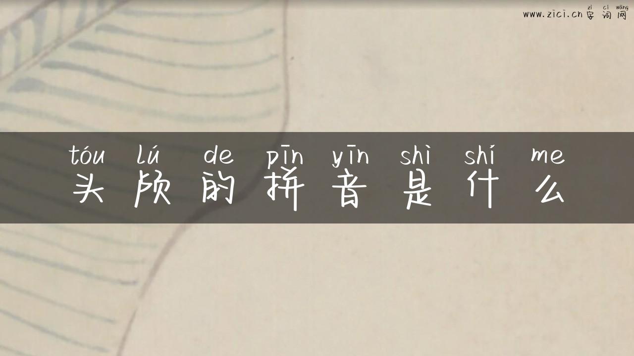 头颅的拼音是什么