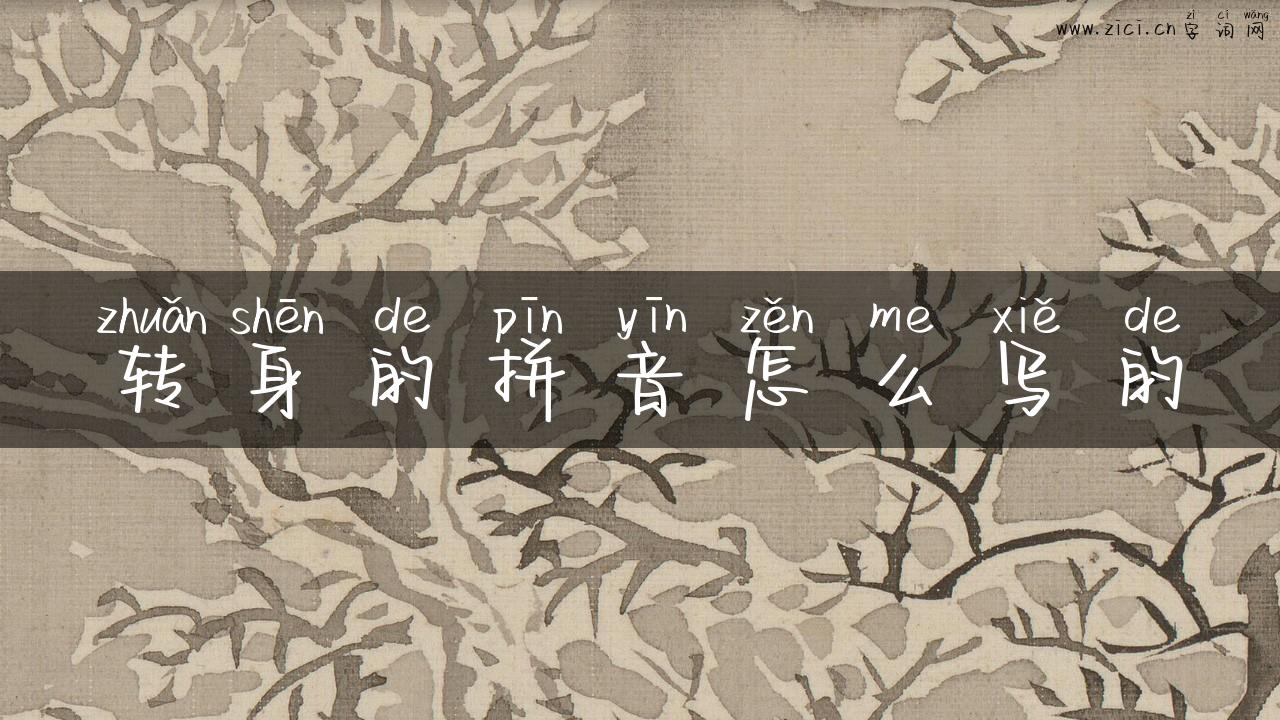 转身的拼音怎么写的