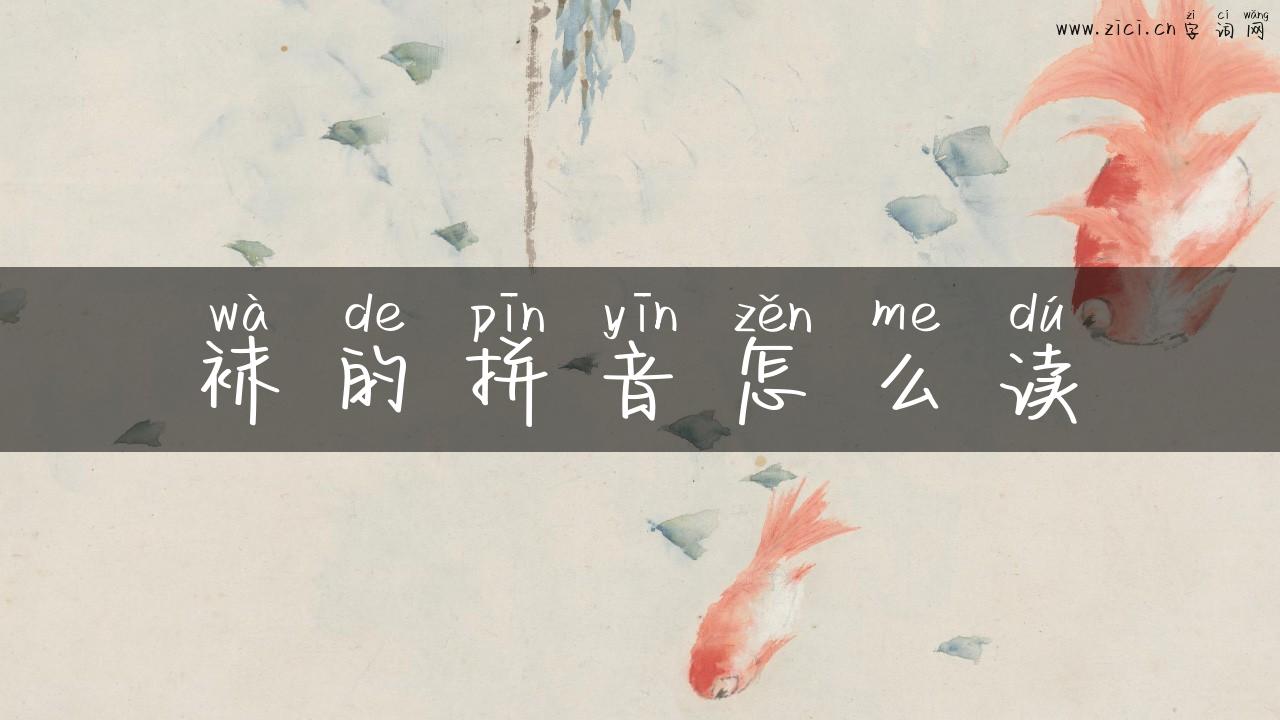 袜的拼音怎么读