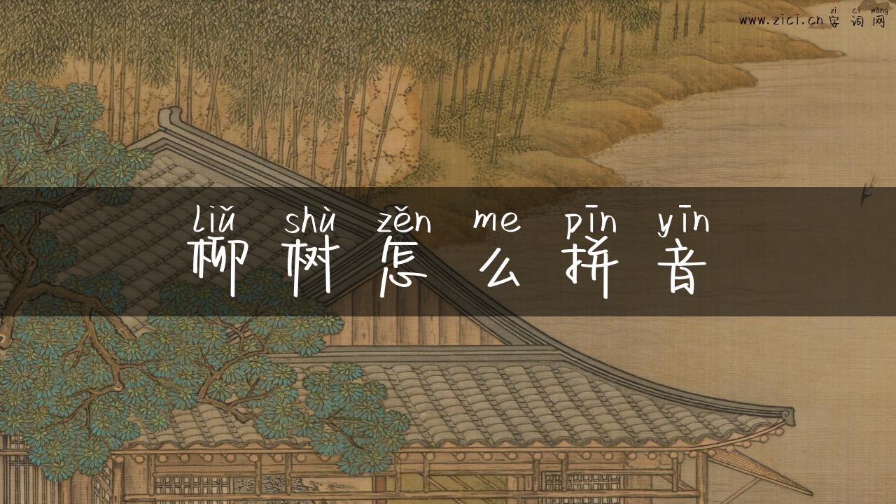 柳树怎么拼音