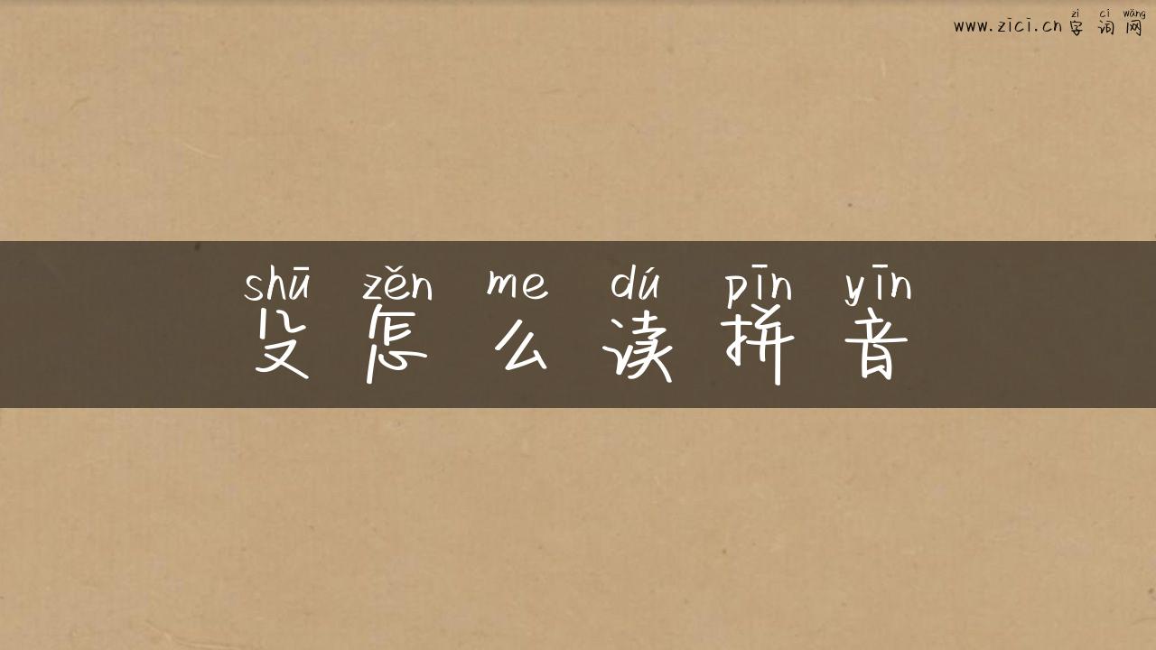 殳怎么读拼音