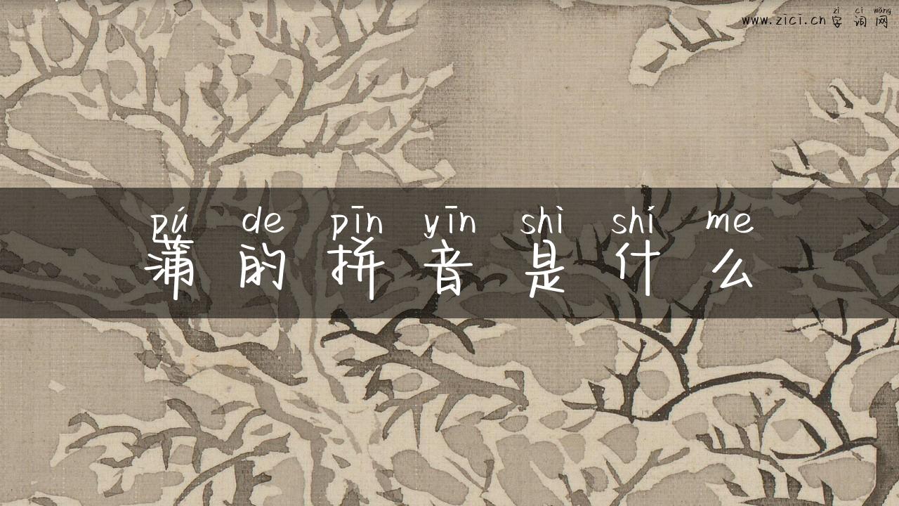 蒲的拼音是什么