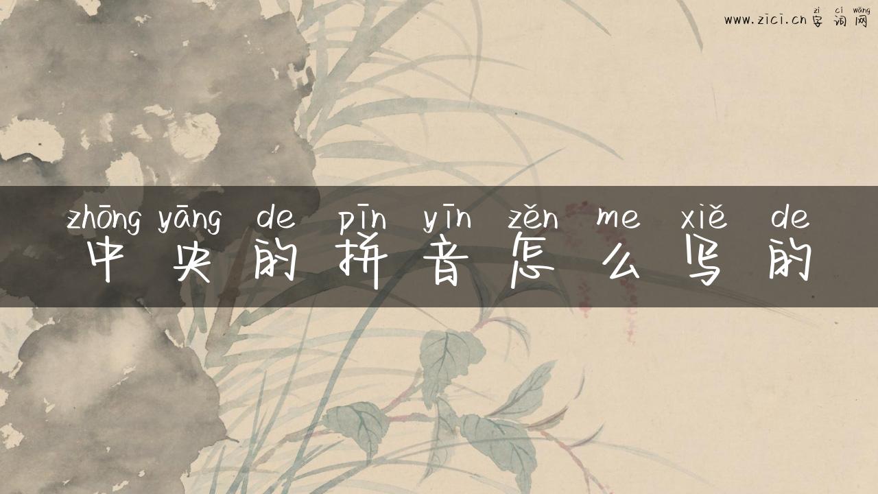 中央的拼音怎么写的