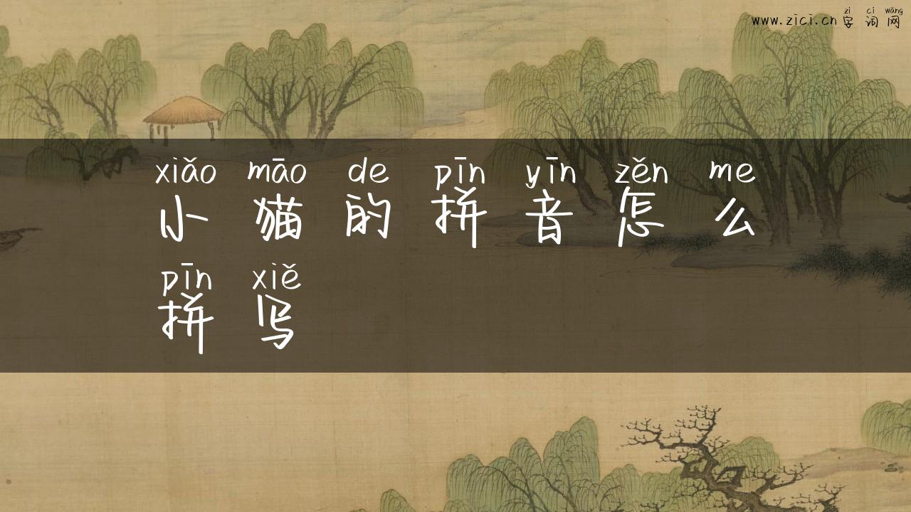 小猫的拼音怎么拼写