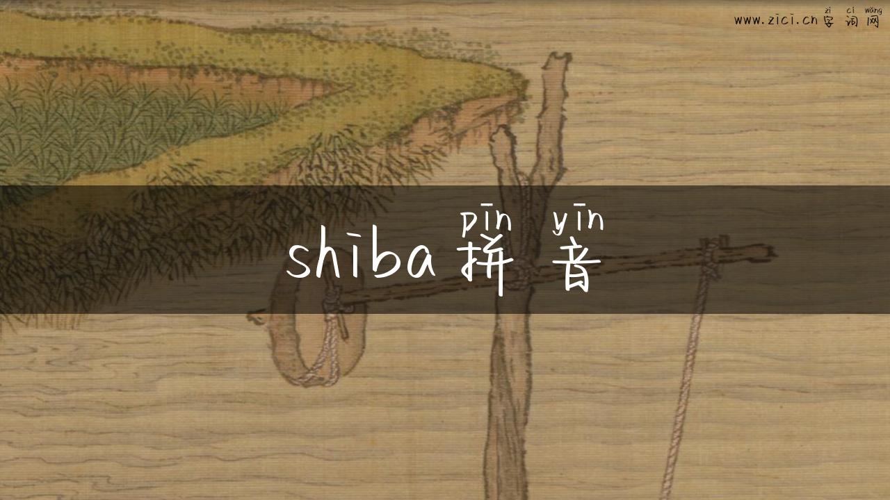 shiba拼音