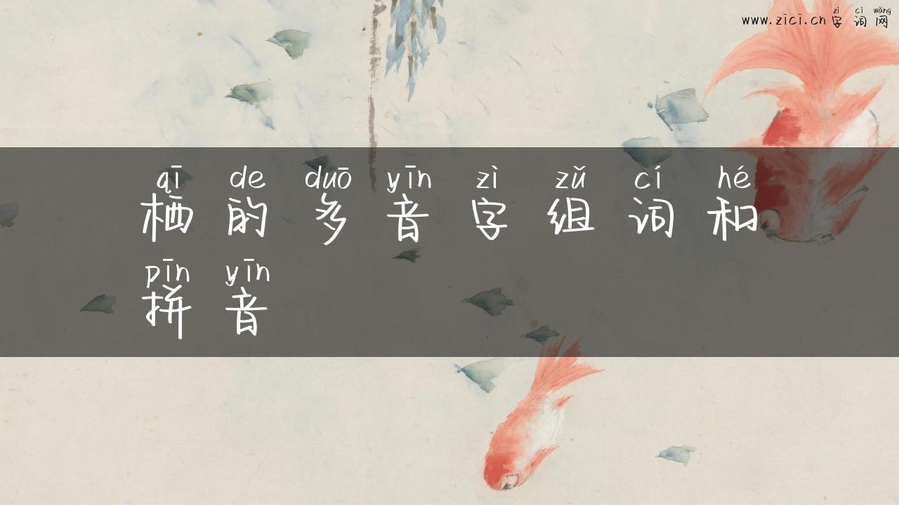 栖的多音字组词和拼音