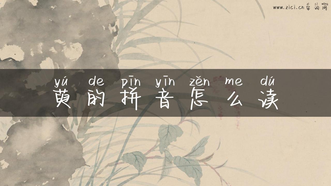 萸的拼音怎么读