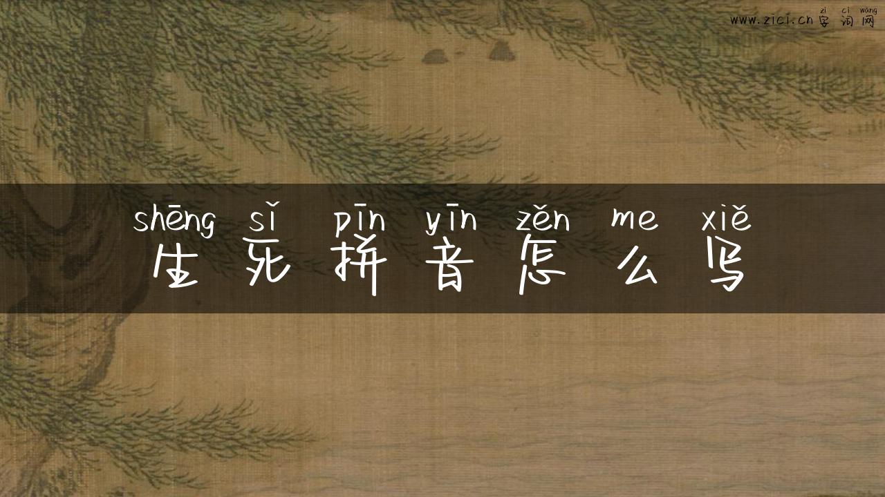 生死拼音怎么写