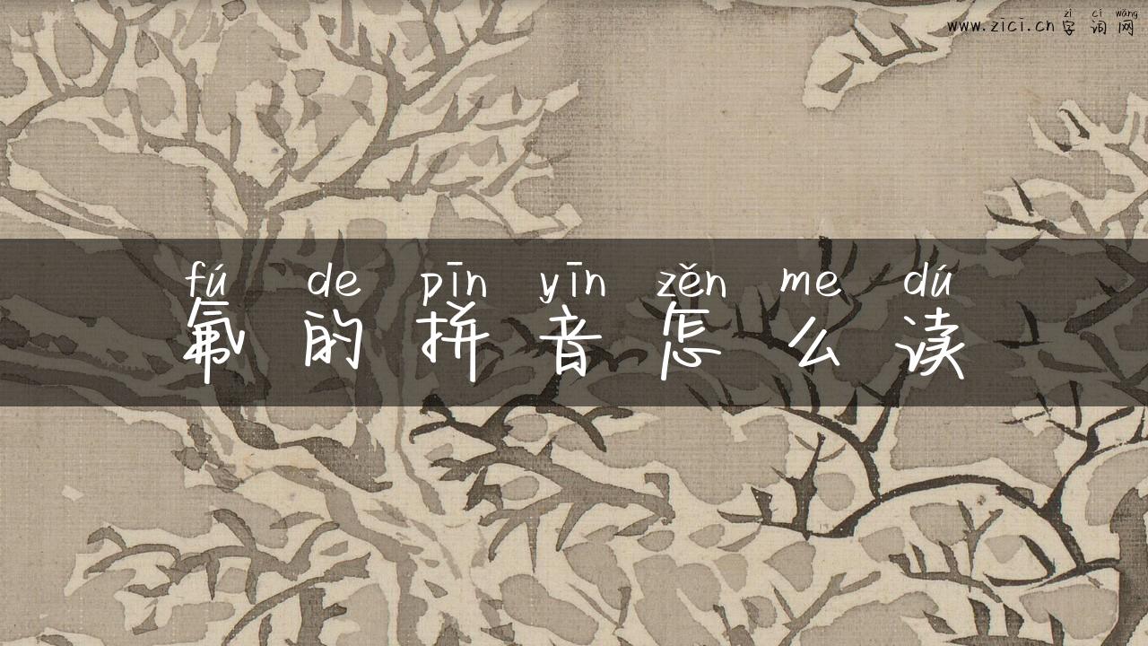 氟的拼音怎么读
