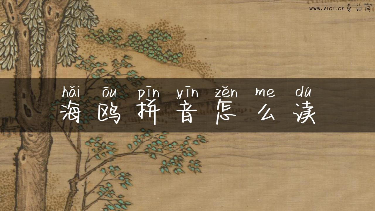 海鸥拼音怎么读
