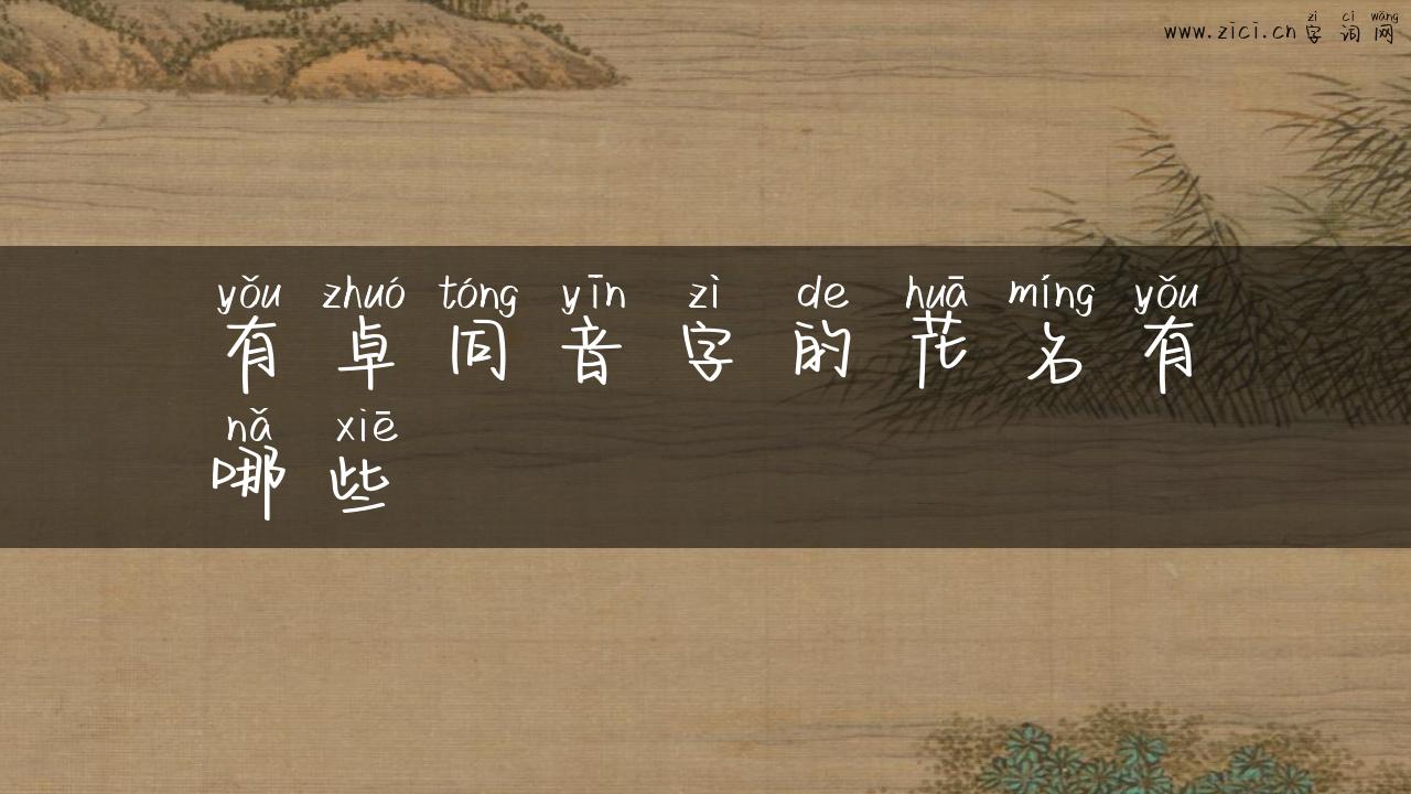 有卓同音字的花名有哪些