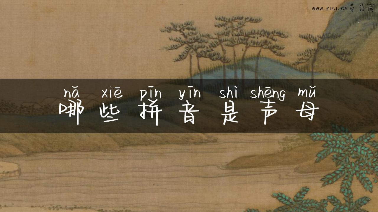 哪些拼音是声母