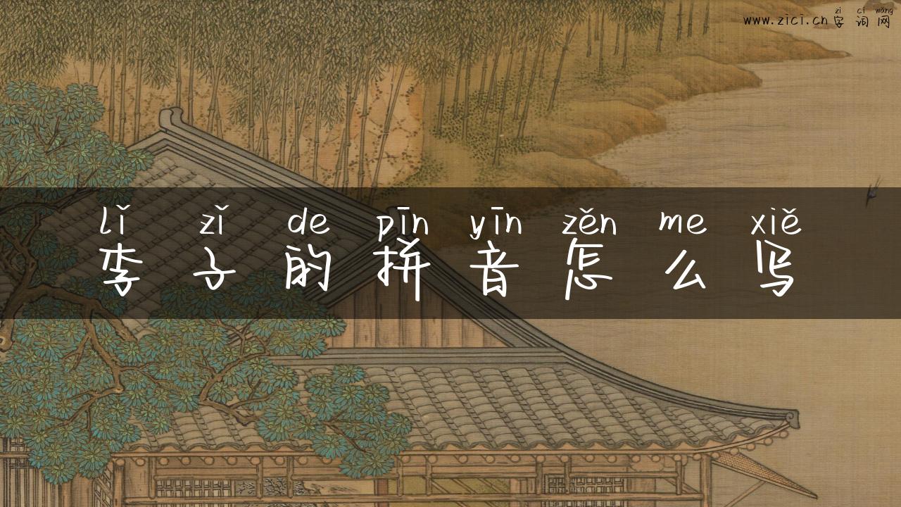 李子的拼音怎么写