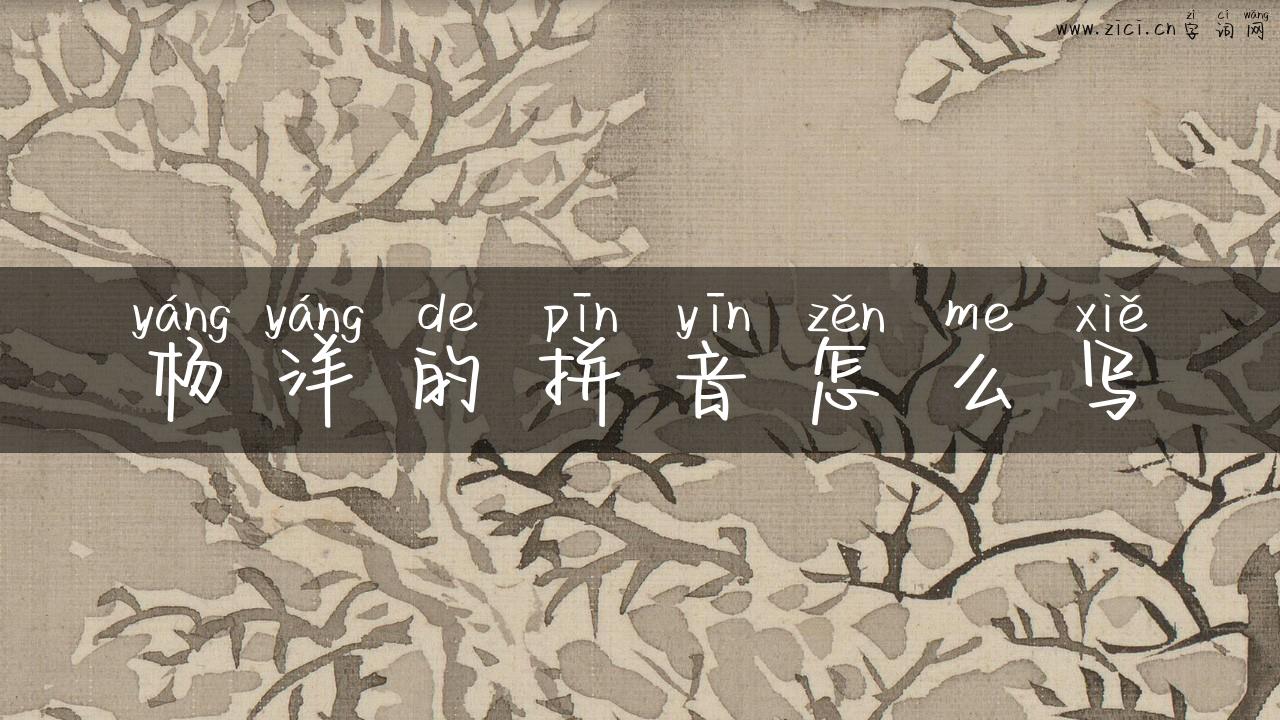 杨洋的拼音怎么写
