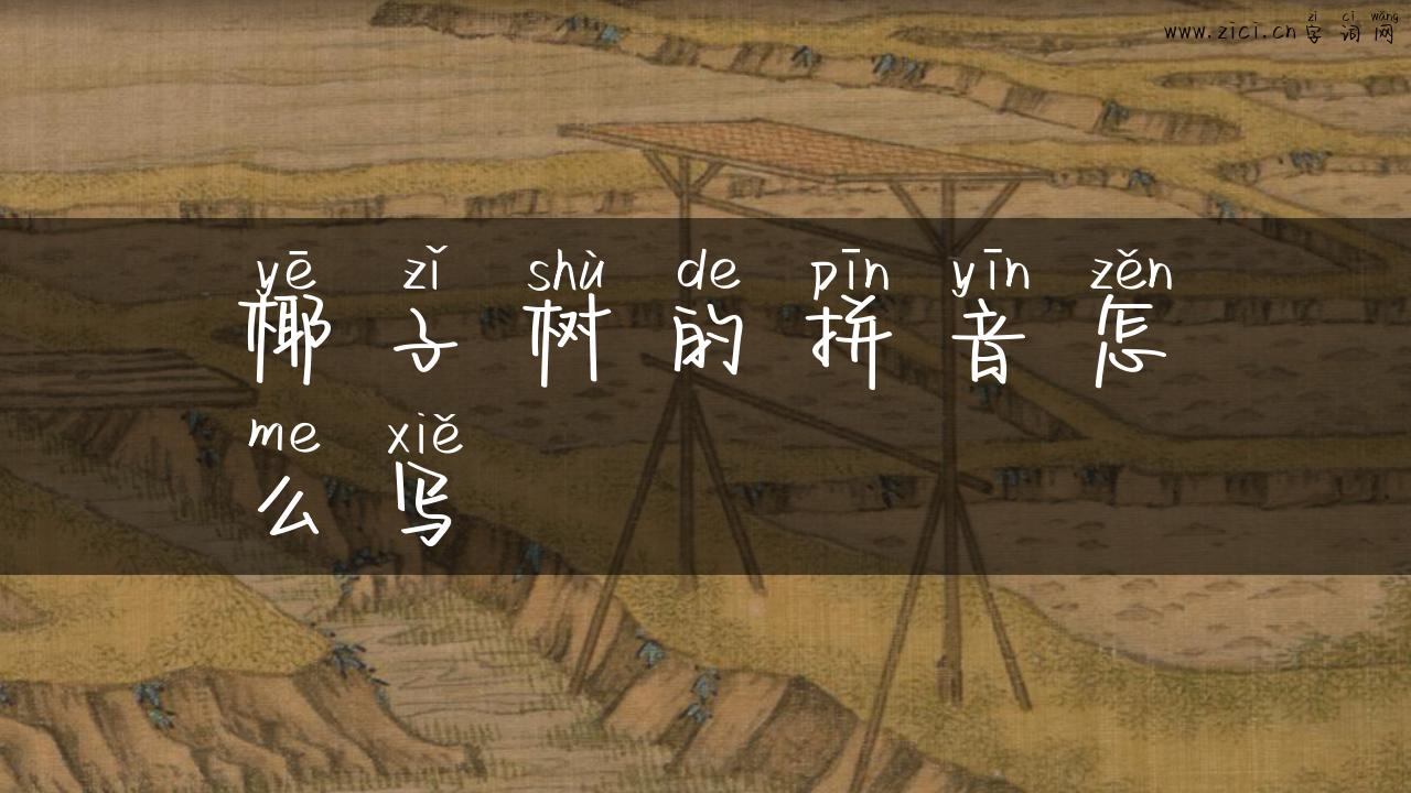 椰子树的拼音怎么写