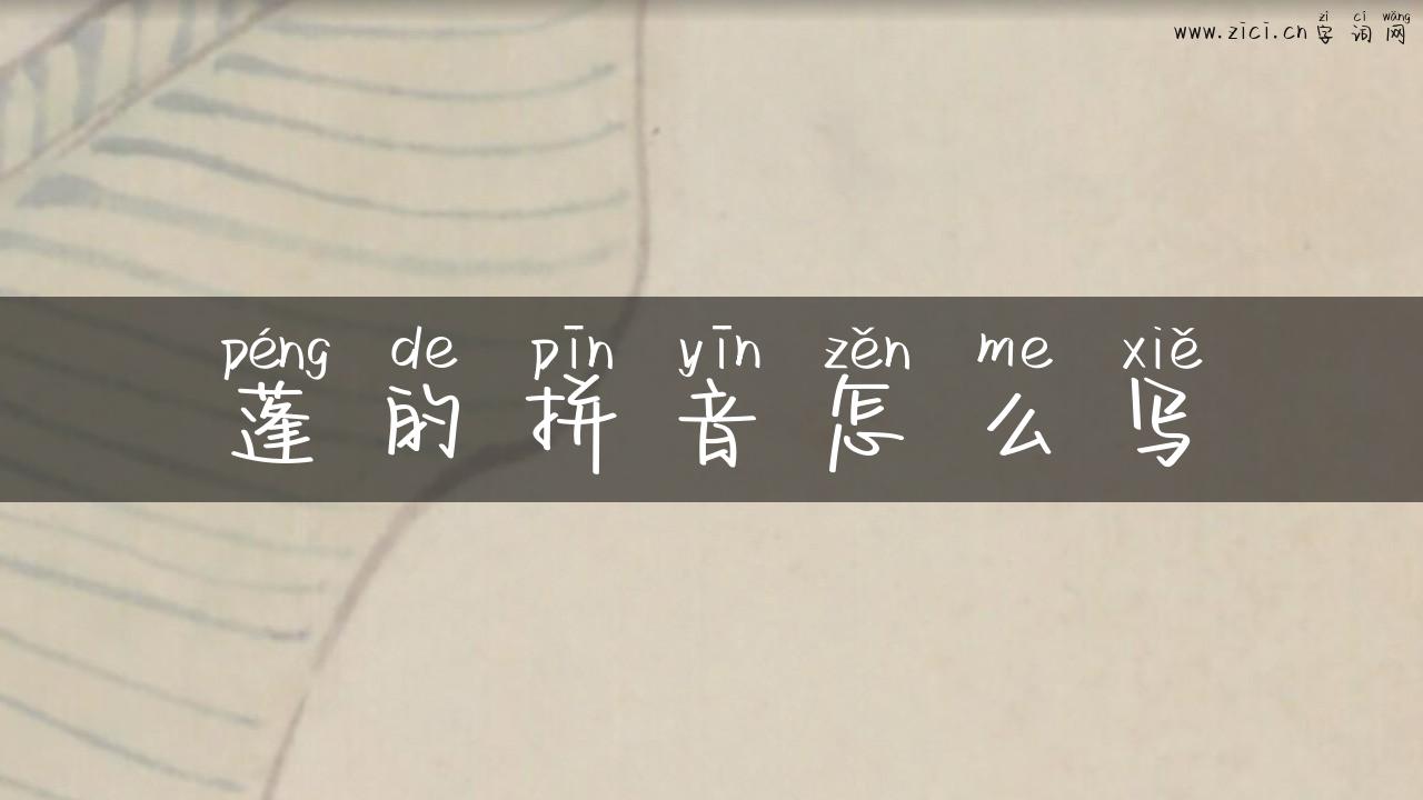 蓬的拼音怎么写