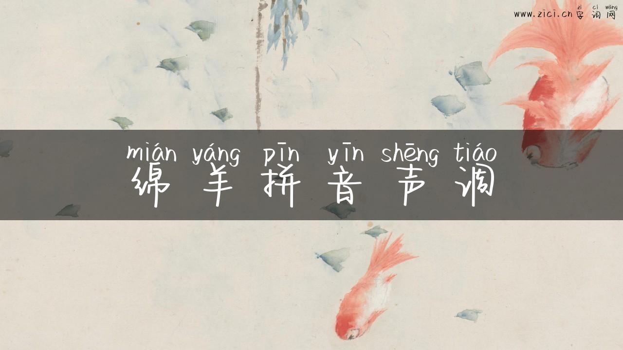 绵羊拼音声调
