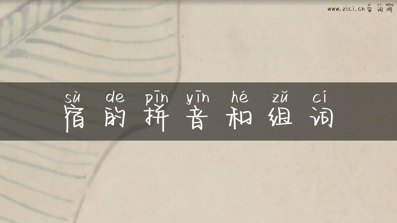 宿的拼音和组词
