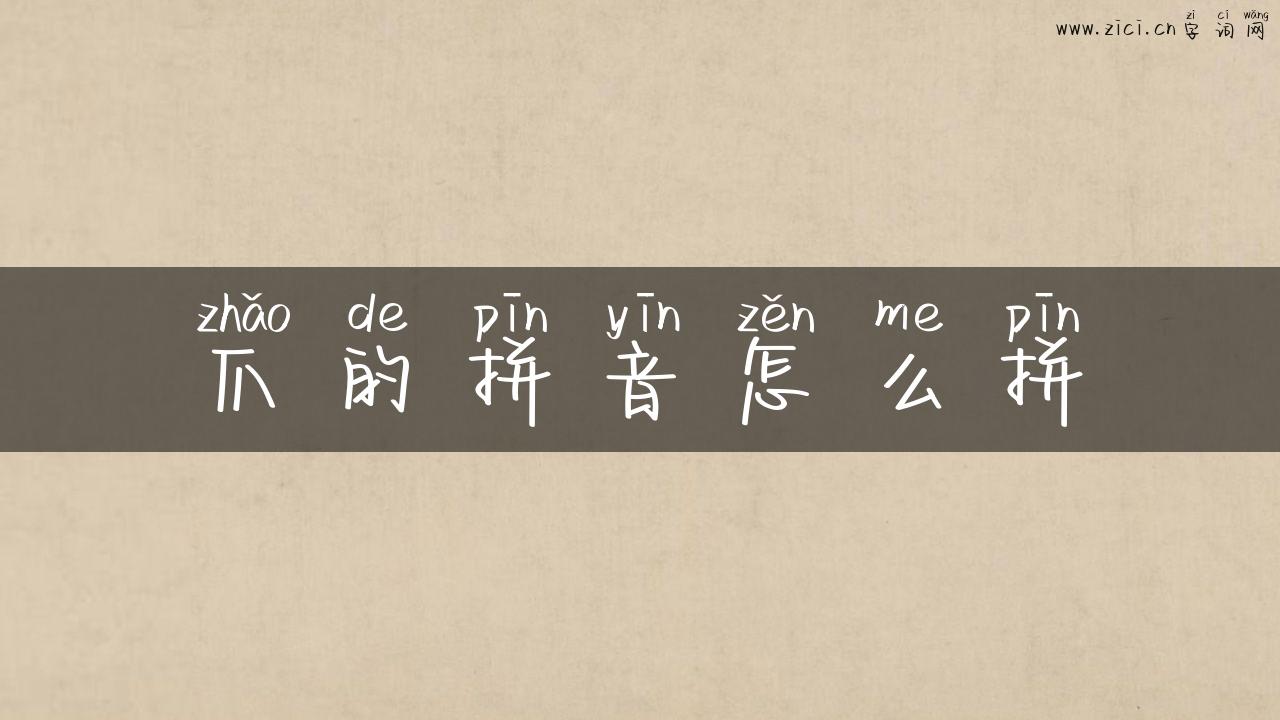 爪的拼音怎么拼