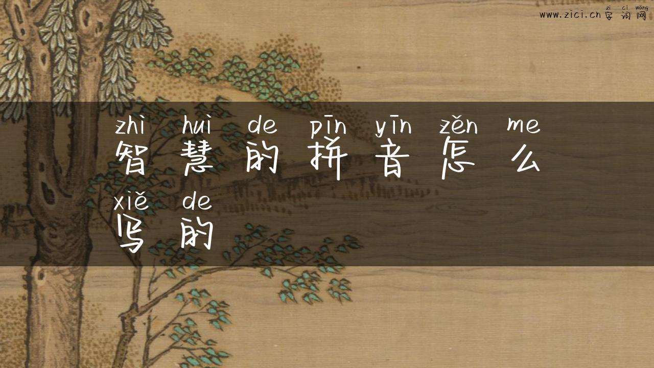 智慧的拼音怎么写的