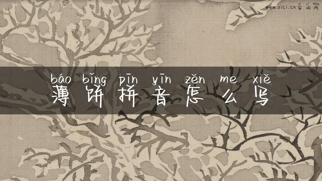 薄饼拼音怎么写