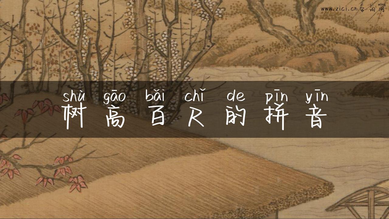 树高百尺的拼音