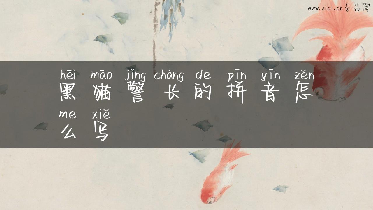 黑猫警长的拼音怎么写