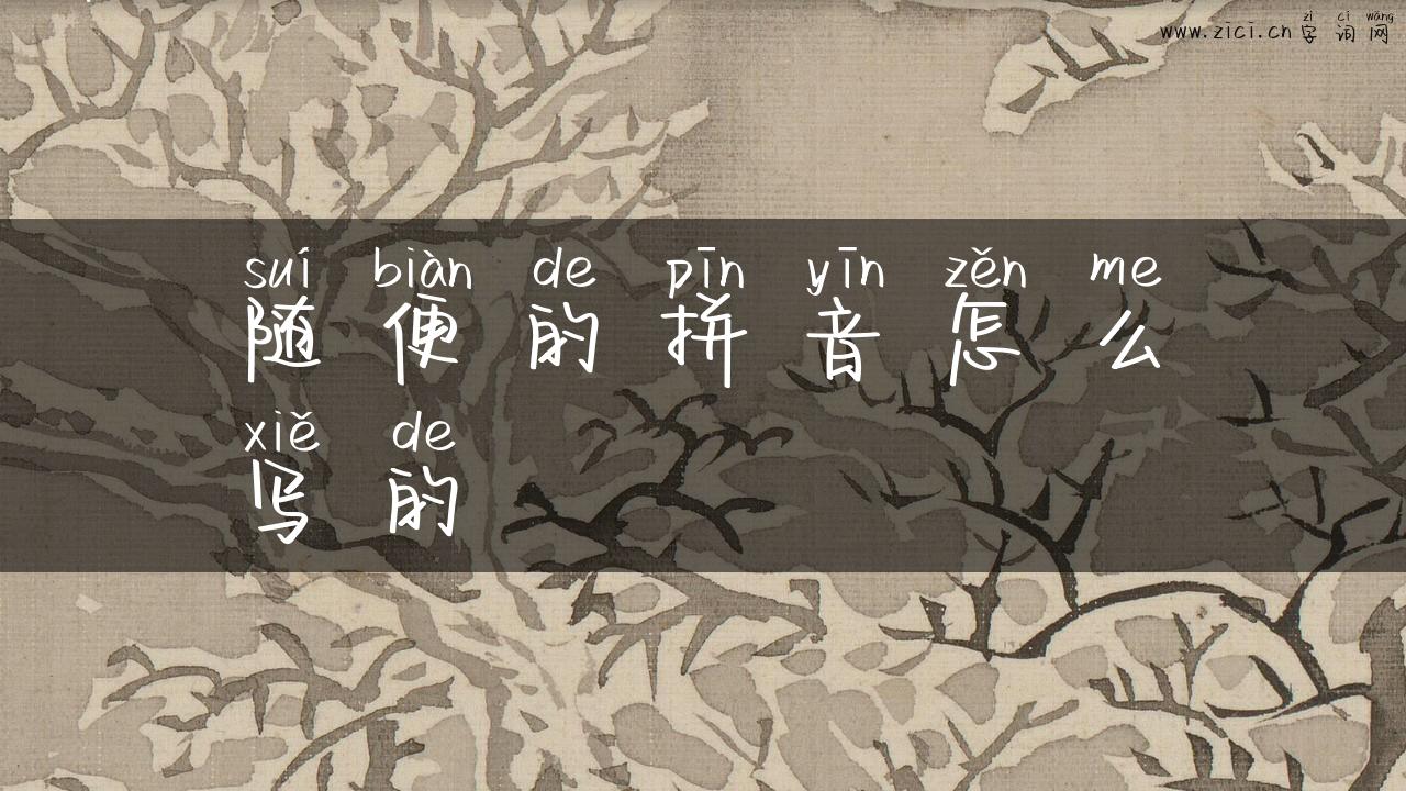 随便的拼音怎么写的