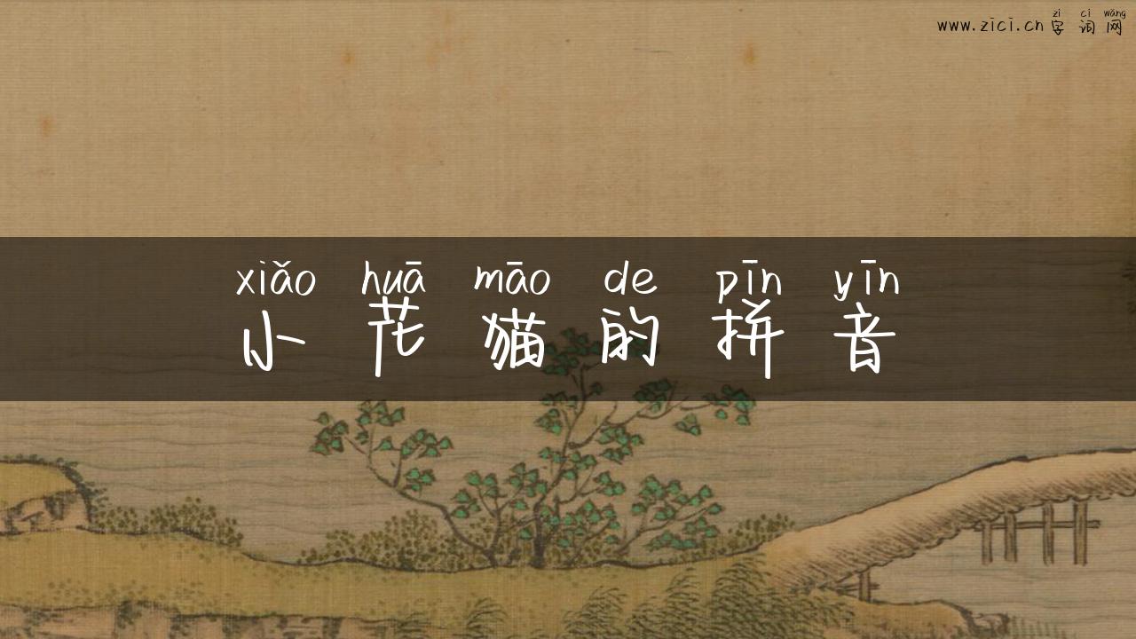 小花猫的拼音