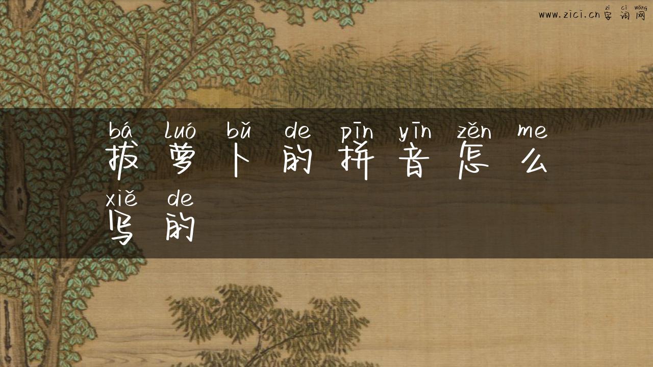 拔萝卜的拼音怎么写的