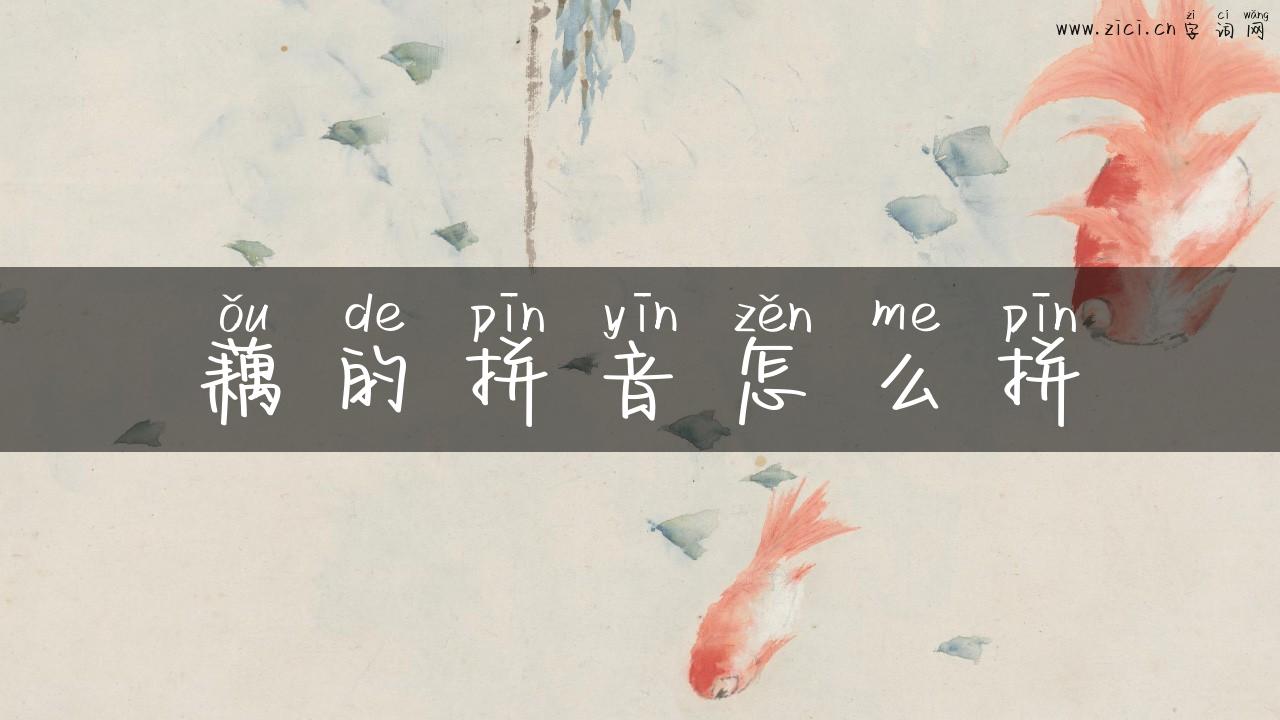 藕的拼音怎么拼