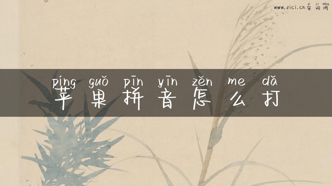苹果拼音怎么打