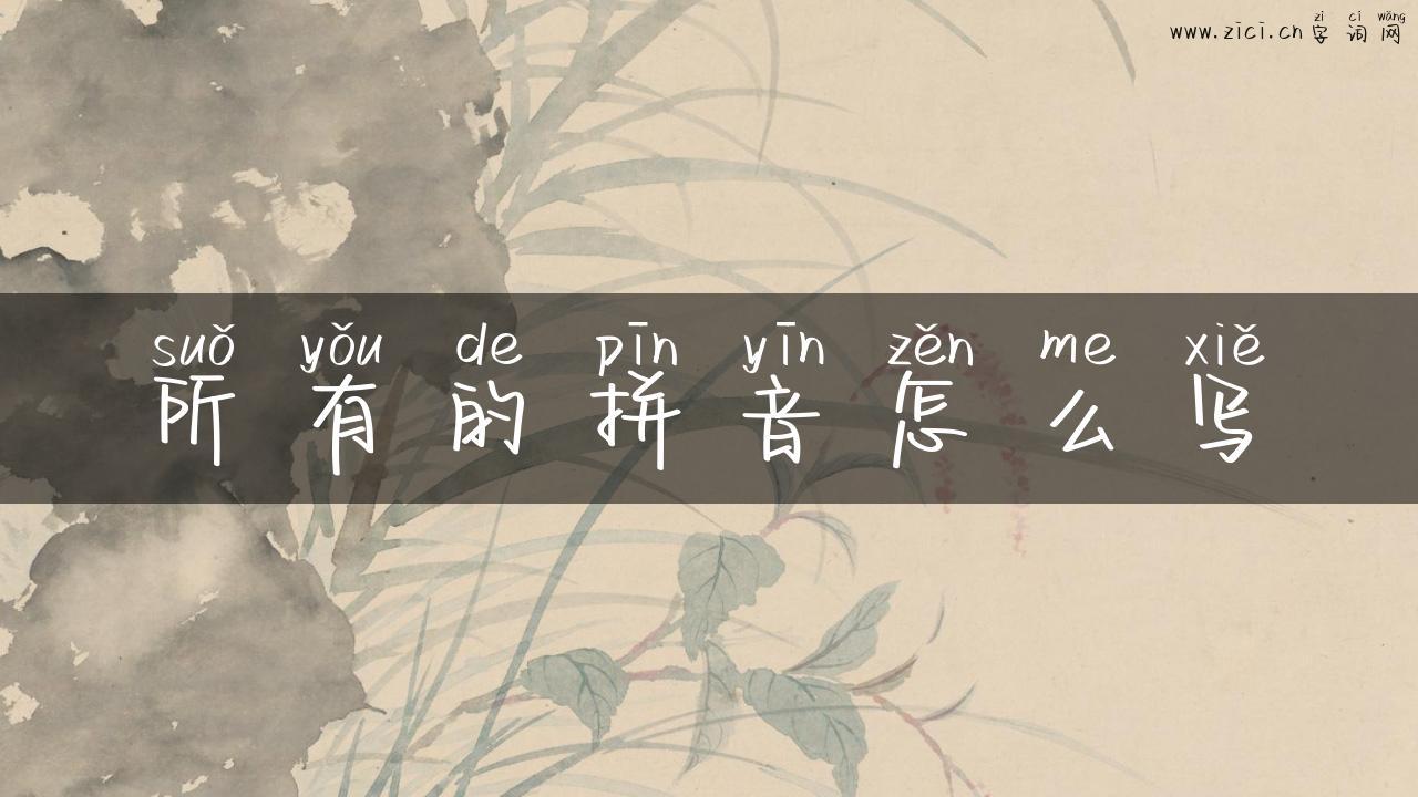 所有的拼音怎么写