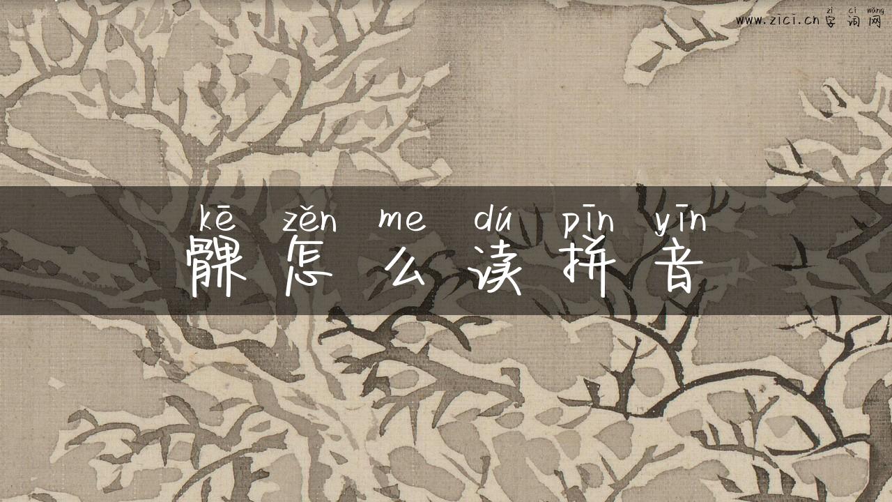 髁怎么读拼音