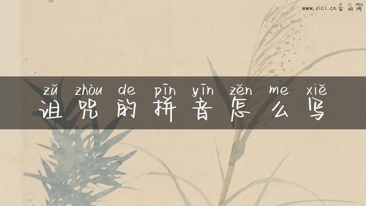 诅咒的拼音怎么写