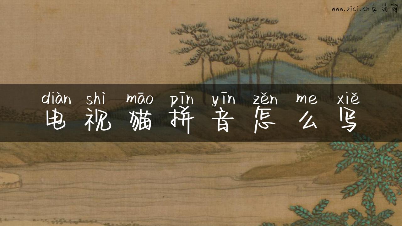 电视猫拼音怎么写